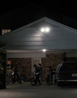 Filename=Stranger_Things_S01E01_mp40259.jpg
Filesize=911KiB
Dimensions=1920x960
Date added=Dec 07, 2022 Stranger_Things_S01E01_mp40259.jpg