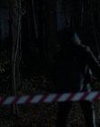 Filename=Stranger_Things_S01E01_mp42457.jpg
Filesize=804KiB
Dimensions=1920x960
Date added=Dec 07, 2022 Stranger_Things_S01E01_mp42457.jpg