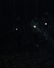 Filename=Stranger_Things_S01E01_mp42726.jpg
Filesize=774KiB
Dimensions=1920x960
Date added=Dec 07, 2022 Stranger_Things_S01E01_mp42726.jpg