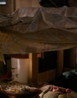 Filename=Stranger_Things_S01E02_mp43432.jpg
Filesize=860KiB
Dimensions=1920x960
Date added=Dec 07, 2022 Stranger_Things_S01E02_mp43432.jpg