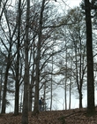 Filename=Stranger_Things_S01E03_mp48087.jpg
Filesize=2041KiB
Dimensions=1920x960
Date added=Dec 07, 2022 Stranger_Things_S01E03_mp48087.jpg