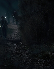 Filename=Stranger_Things_S01E03_mp48516.jpg
Filesize=1004KiB
Dimensions=1920x960
Date added=Dec 07, 2022 Stranger_Things_S01E03_mp48516.jpg