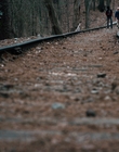Filename=Stranger_Things_S01E05_mp44760.jpg
Filesize=1063KiB
Dimensions=1920x960
Date added=Dec 07, 2022 Stranger_Things_S01E05_mp44760.jpg