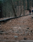 Filename=Stranger_Things_S01E05_mp44761.jpg
Filesize=1153KiB
Dimensions=1920x960
Date added=Dec 07, 2022 Stranger_Things_S01E05_mp44761.jpg