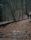 Filename=Stranger_Things_S01E05_mp44762.jpg
Filesize=1269KiB
Dimensions=1920x960
Date added=Dec 07, 2022 Stranger_Things_S01E05_mp44762.jpg