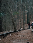 Filename=Stranger_Things_S01E05_mp44764.jpg
Filesize=1519KiB
Dimensions=1920x960
Date added=Dec 07, 2022 Stranger_Things_S01E05_mp44764.jpg