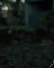 Filename=Stranger_Things_S01E06_mp47259.jpg
Filesize=724KiB
Dimensions=1920x960
Date added=Dec 07, 2022 Stranger_Things_S01E06_mp47259.jpg