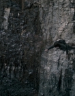 Filename=Stranger_Things_S01E06_mp48204.jpg
Filesize=956KiB
Dimensions=1920x960
Date added=Dec 07, 2022 Stranger_Things_S01E06_mp48204.jpg