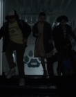 Filename=Stranger_Things_S01E08_mp43943.jpg
Filesize=764KiB
Dimensions=1920x960
Date added=Dec 07, 2022 Stranger_Things_S01E08_mp43943.jpg