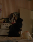 Filename=Stranger_Things_S02E01_mp40310.jpg
Filesize=858KiB
Dimensions=1920x960
Date added=Dec 08, 2022 Stranger_Things_S02E01_mp40310.jpg