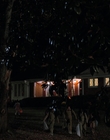 Filename=Stranger_Things_S02E02_mp44741.jpg
Filesize=792KiB
Dimensions=1920x960
Date added=Dec 08, 2022 Stranger_Things_S02E02_mp44741.jpg