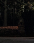 Filename=Stranger_Things_S02E02_mp44780.jpg
Filesize=932KiB
Dimensions=1920x960
Date added=Dec 08, 2022 Stranger_Things_S02E02_mp44780.jpg
