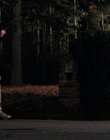 Filename=Stranger_Things_S02E02_mp44781.jpg
Filesize=926KiB
Dimensions=1920x960
Date added=Dec 08, 2022 Stranger_Things_S02E02_mp44781.jpg