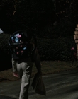 Filename=Stranger_Things_S02E02_mp45034.jpg
Filesize=817KiB
Dimensions=1920x960
Date added=Dec 08, 2022 Stranger_Things_S02E02_mp45034.jpg