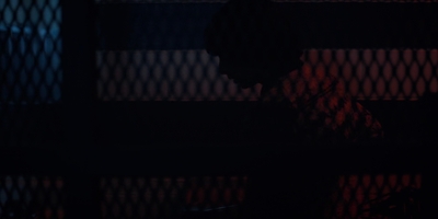 Stranger_Things_S02E03_mp48264.jpg