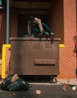 Filename=Stranger_Things_S02E04_mp40744.jpg
Filesize=1285KiB
Dimensions=1920x960
Date added=Dec 08, 2022 Stranger_Things_S02E04_mp40744.jpg