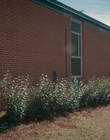 Filename=Stranger_Things_S02E04_mp41328.jpg
Filesize=1331KiB
Dimensions=1920x960
Date added=Dec 08, 2022 Stranger_Things_S02E04_mp41328.jpg