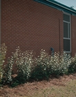 Filename=Stranger_Things_S02E04_mp41329.jpg
Filesize=1214KiB
Dimensions=1920x960
Date added=Dec 08, 2022 Stranger_Things_S02E04_mp41329.jpg