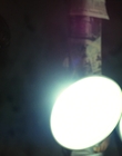 Filename=Stranger_Things_S02E08_mp44571.jpg
Filesize=671KiB
Dimensions=1920x960
Date added=Dec 08, 2022 Stranger_Things_S02E08_mp44571.jpg