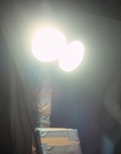 Filename=Stranger_Things_S02E08_mp44979.jpg
Filesize=766KiB
Dimensions=1920x960
Date added=Dec 08, 2022 Stranger_Things_S02E08_mp44979.jpg
