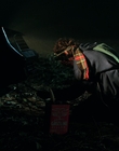 Filename=Stranger_Things_S02E09_mp46727.jpg
Filesize=573KiB
Dimensions=1920x960
Date added=Dec 08, 2022 Stranger_Things_S02E09_mp46727.jpg