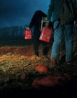 Filename=Stranger_Things_S02E09_mp46735.jpg
Filesize=879KiB
Dimensions=1920x960
Date added=Dec 08, 2022 Stranger_Things_S02E09_mp46735.jpg