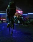 Filename=Stranger_Things_S03E01_mp40487.jpg
Filesize=953KiB
Dimensions=1920x960
Date added=Dec 09, 2022 Stranger_Things_S03E01_mp40487.jpg