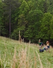 Filename=Stranger_Things_S03E01_mp41712.jpg
Filesize=1568KiB
Dimensions=1920x960
Date added=Dec 09, 2022 Stranger_Things_S03E01_mp41712.jpg
