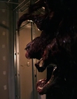 Filename=Stranger_Things_S03E06_mp40252.jpg
Filesize=694KiB
Dimensions=1920x960
Date added=Dec 09, 2022 Stranger_Things_S03E06_mp40252.jpg