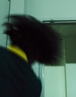 Filename=Stranger_Things_S03E08_mp48254.jpg
Filesize=849KiB
Dimensions=1920x960
Date added=Dec 09, 2022 Stranger_Things_S03E08_mp48254.jpg