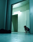 Filename=Stranger_Things_S03E08_mp48556.jpg
Filesize=999KiB
Dimensions=1920x960
Date added=Dec 09, 2022 Stranger_Things_S03E08_mp48556.jpg
