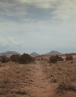 Filename=Stranger_Things_S04E08_mp46060.jpg
Filesize=1051KiB
Dimensions=1920x960
Date added=Jan 05, 2023 Stranger_Things_S04E08_mp46060.jpg
