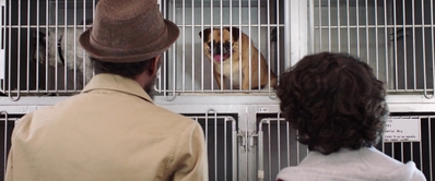 Dog_Days_mp42980.jpg