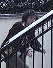 Calpurnia_-_Cell_mp41620.jpg