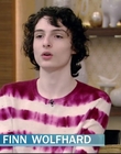 Filename=2020-01-15_-_LIVEKellyandRyan_2_mp40064.jpg
Filesize=403KiB
Dimensions=1280x720
Date added=Dec 12, 2022 2020-01-15_-_LIVEKellyandRyan_2_mp40064.jpg