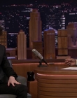 2020-01-17_-_The_Tonight_Show_Starring_Jimmy_Fallon_mp40591.jpg