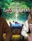 Filename=2021-10-14_-_ET_Canada_-_Ghostbusters_Afterlife_Interview_mp413402.jpg
Filesize=1190KiB
Dimensions=1920x1080
Date added=Dec 12, 2022 2021-10-14_-_ET_Canada_-_Ghostbusters_Afterlife_Interview_mp413402.jpg