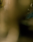 The_100_S02E04_mp41691.jpg