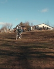 Filename=Stranger_Things_S01E07_mp40288.jpg
Filesize=1226KiB
Dimensions=1920x960
Date added=Dec 07, 2022 Stranger_Things_S01E07_mp40288.jpg