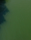 Filename=It_mp42615.jpg
Filesize=703KiB
Dimensions=1920x800
Date added=Dec 07, 2022 It_mp42615.jpg