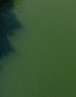 Filename=It_mp42616.jpg
Filesize=680KiB
Dimensions=1920x800
Date added=Dec 07, 2022 It_mp42616.jpg