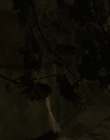 Filename=It_mp44641.jpg
Filesize=541KiB
Dimensions=1920x800
Date added=Dec 07, 2022 It_mp44641.jpg