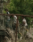 Filename=It_mp46075.jpg
Filesize=1065KiB
Dimensions=1920x800
Date added=Dec 07, 2022 It_mp46075.jpg