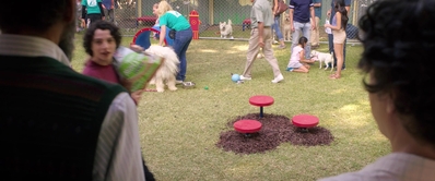 Dog_Days_mp46361.jpg