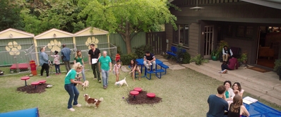 Dog_Days_mp46449.jpg