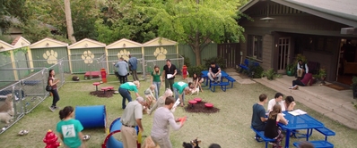 Dog_Days_mp46451.jpg
