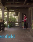 Filename=Dog_Days_mp40255.jpg
Filesize=971KiB
Dimensions=1920x800
Date added=Dec 07, 2022 Dog_Days_mp40255.jpg