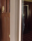 Dog_Days_mp41781.jpg
