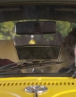 Filename=Dog_Days_mp42592.jpg
Filesize=728KiB
Dimensions=1920x800
Date added=Dec 07, 2022 Dog_Days_mp42592.jpg