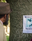 Filename=Dog_Days_mp43651.jpg
Filesize=895KiB
Dimensions=1920x800
Date added=Dec 07, 2022 Dog_Days_mp43651.jpg